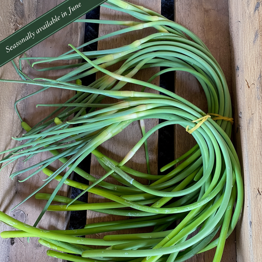 Garlic Scapes — banner moved down