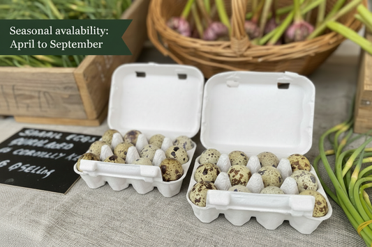 Fresh Quail Eggs — Box of 12 — Seasonal availability April to September